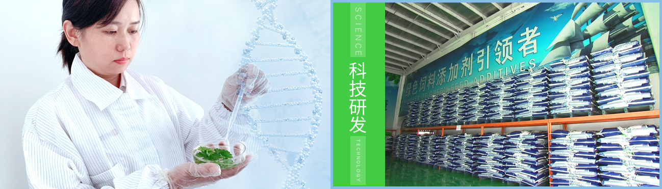 <a href=http://m.kjnk120.cn>天津納爾生物科技有限公司</a>